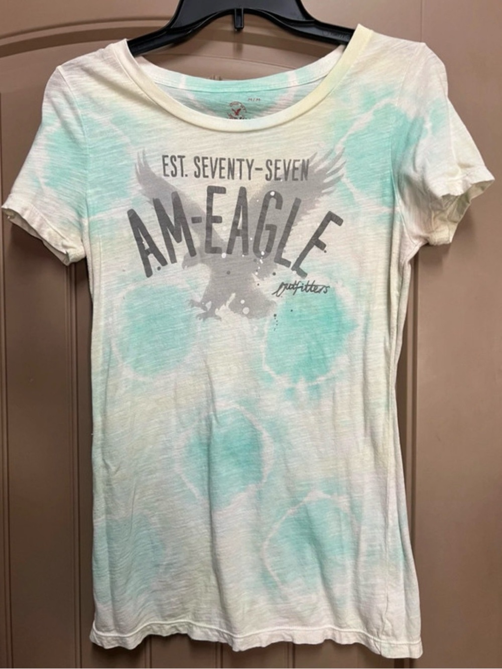 American Eagle Outfitters Graphic Tee M Y2K Aqua Tie Dye Eagle